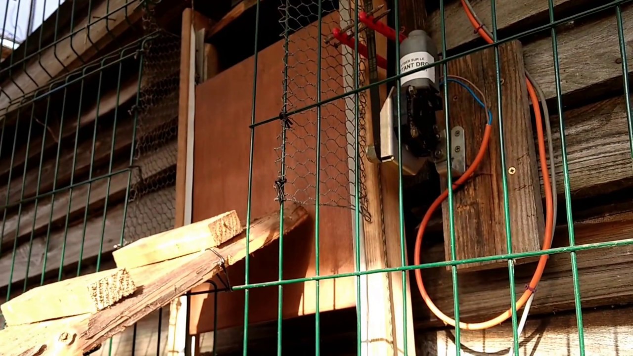 Poulailler Porte Et Lumière Automatique Oui Are Makers