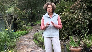 Refine: Edible Landscape