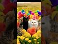 Tangkap Ayam Lucu, ayam warna warni, ayam rainbow, kelinci lucu, bebek lucu, #duck #chicken #ayam