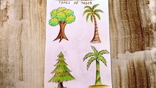 TYPES OF TREES DRAWING / TREE DRAWING / AĞAÇ ÇEŞİTLERİ NASIL ÇİZİLİR / AĞAÇ ÇİZİMİ / AĞAÇ RESMİ