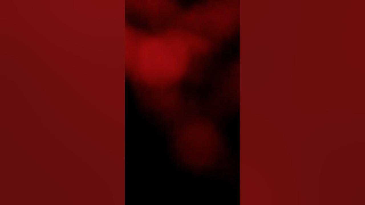 Everlast what its like youtube