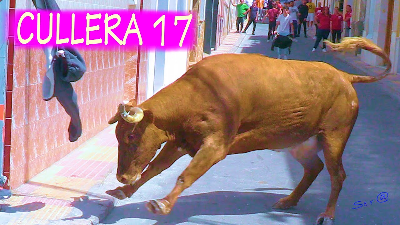 ✅2023 CULLERA 17 ENTRA Ganadería Fdo. Machancoses