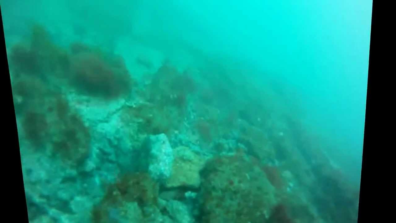 Treasure Diving, South Florida YouTube