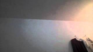 Capture 20110331 1