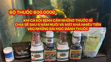 KHI CÁ KOI BỆNH CẦN NHỮNG THUỐC GÌ - CHIA SẼ SAU 6 NĂM NUÔI VÀ MẤT KHÁ NHIỀU TIỀN VÀO NHỮNG BÀI HỌC