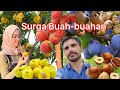 PANEN BUAH SAMBIL MENGENAL JENIS BUAH-BUAHAN DI TURKI