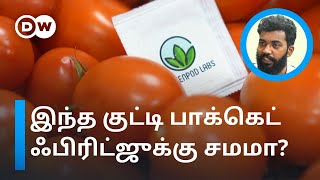 "இனி Fridge இல்லாமல் பழங்களை பாதுகாக்கலாம்" - சென்னை இளைஞர்களின் புதிய முயற்சி! | DW Tamil