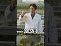 Discover the algae revolution! #Biofuel #GreenTech #Innovation