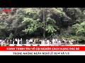 Hành trình tìm về cội nguồn cách mạng Pác Bó trong những ngày nghỉ lễ