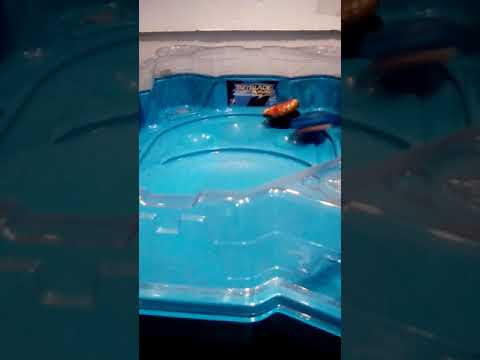 Turbo Valtryek V4