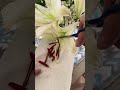 Cut These Before Your Lilies Ruin Everything