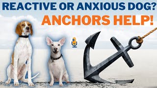 How An Anchor Dog Can Help Overcome Your Dog’s Anxiety Or Reactivity #111