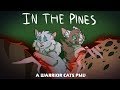 IN THE PINES // Antpelt and Beetlewhisker PMV [WARRIOR CATS]