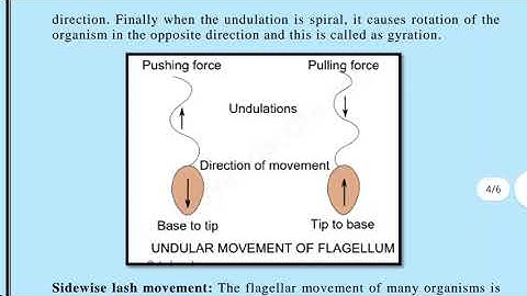 M.Sc Sem. II Paper 6 Structure  and Function  of Invertebrate (PartII)