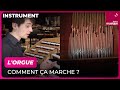 L'orgue, comment ça marche ? Karol Mossakowski