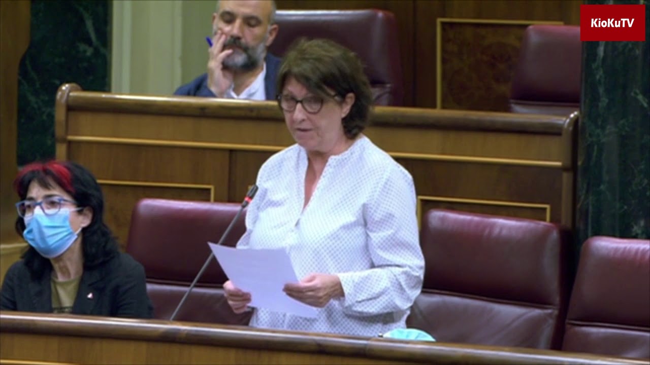 Intervención de Rosa María Medel en dictamen de Comisión para Reconstrucción Social y Económica