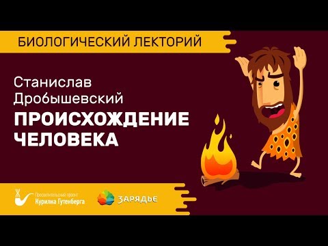 Видео: Биолекторий | Происхождение человека – Станислав Дробышевский