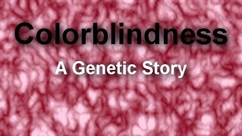 Color Blindness: A Genetic Story