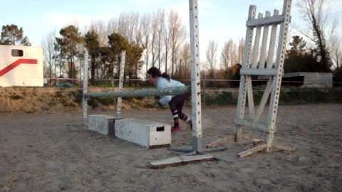 julia en 4 patte saue 80 cm