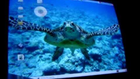 Ubuntu 6.06 XGL+Beryl