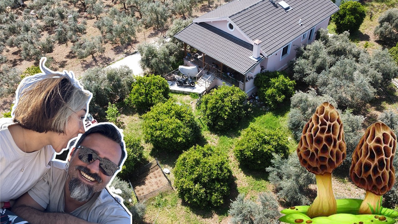 Yeşilüzümlü Mantar Festivali | Fethiye'de Sebze Bedava #39