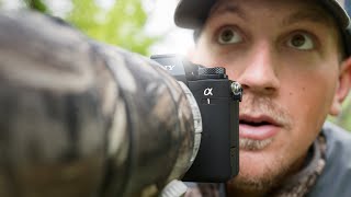 Photographing BABY Chickadees (Sony a1 + 200-600)