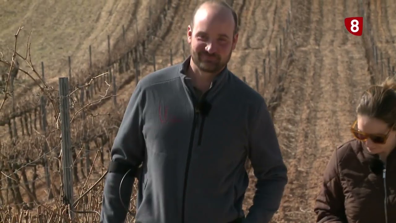 ASAJA QUINTANA DEL PIDIO