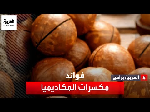 تعرف على فوائد مكسرات المكاديميا