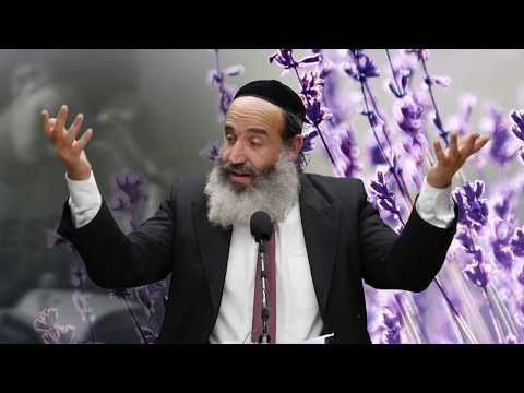 קצר: מעשה קטן - הרב יצחק פנגר HD