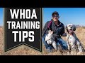 Whoa Training Tips