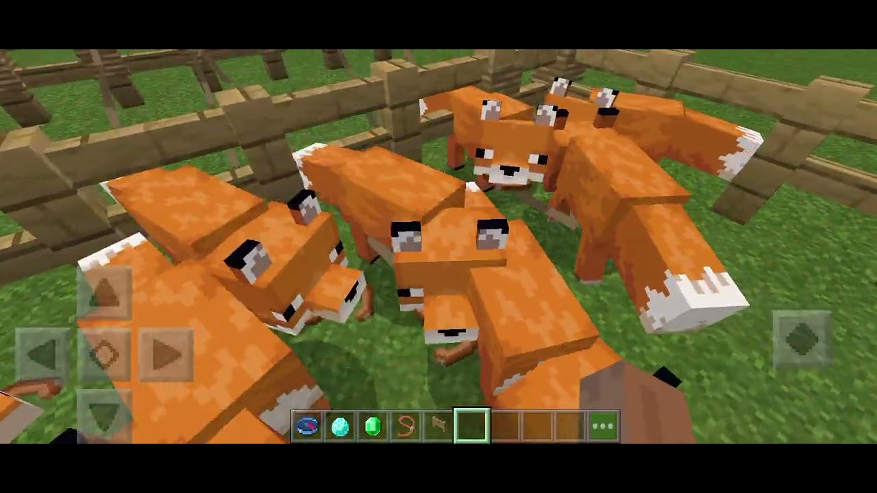 Drama ke McDonald's dan ke kebun binatang