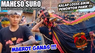 Maheso Suro Bima Sakti edisi siang mberot ganas ‼️ Live in Glendangan - Tumpang