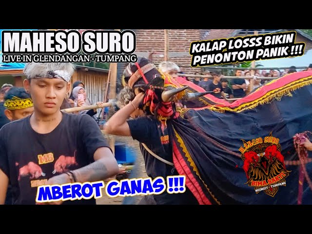 Maheso Suro Bima Sakti edisi siang mberot ganas ‼️ Live in Glendangan - Tumpang class=