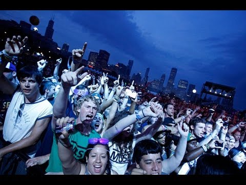Lollapalooza 'survival strategy'