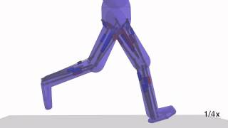 Animating Human Lower Limbs Using Contact-Invariant Optimization