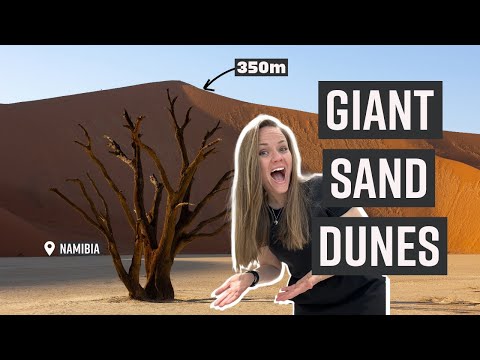 Giant Sand Dunes