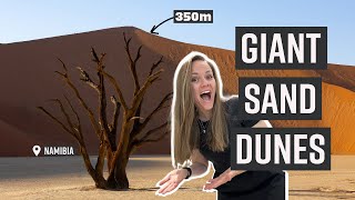 Giant Sand Dunes of the Namib Desert