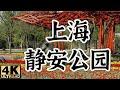 上海静安公园 | Công Viên Tĩnh An Thượng Hải Trung Quốc