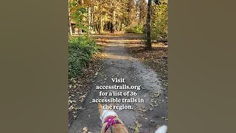 Three accessible hikes in the Portland area