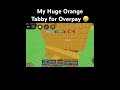 Huge Orange Tabby for Dragonfly &amp; 2 Redfox #roblox #growagarden #mm2