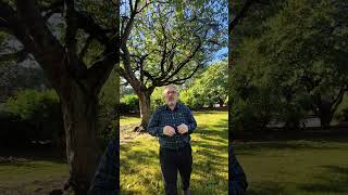 Teaser για το βιβλίο Νίκανδρος