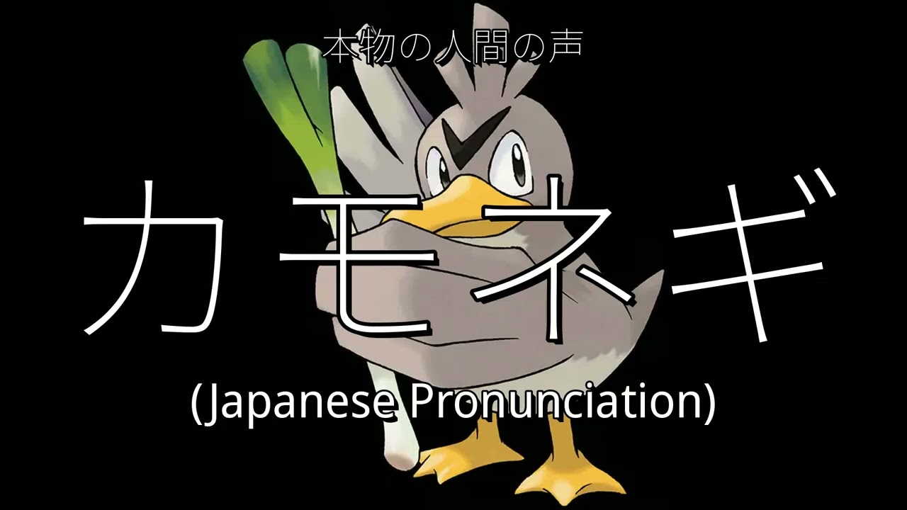 👉 How To Say 