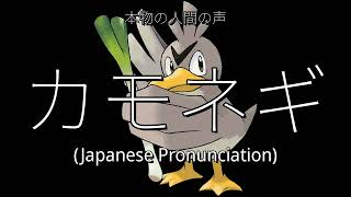 👉 How To Say 