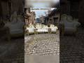 Golden Wedding Stage Sofa Set.#sofaset #shortsfeed #shorts #trending #weddingstagesofa