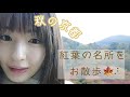 地方公演に行ったら、紅葉が綺麗だったのでお散歩しただけの動画です。