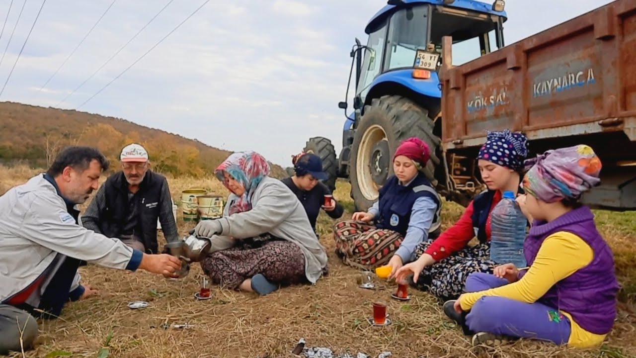 FINDIKLARA GÜBRE ATTIK👍🏻YANIK ÇAY NEFİS 🫖