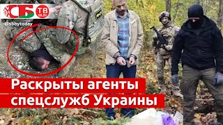 Агенты спецслужб Украины провалили задания в России – задержание террористов