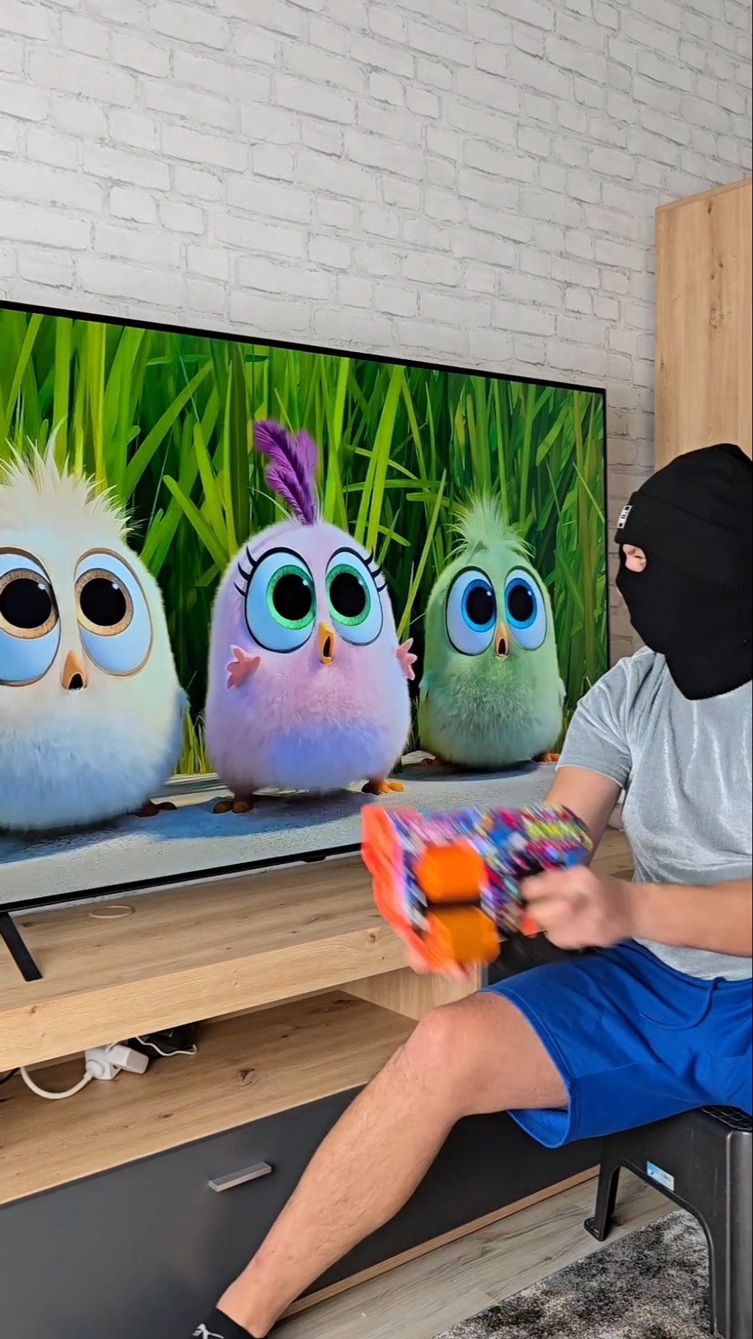 Angry Birds Funny Moment ?