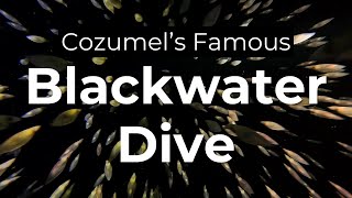 What is Blackwater Diving?
