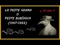 LA PESTE NEGRA o PESTE BUBÓNICA (origen, causas y consecuencias) en 10 min